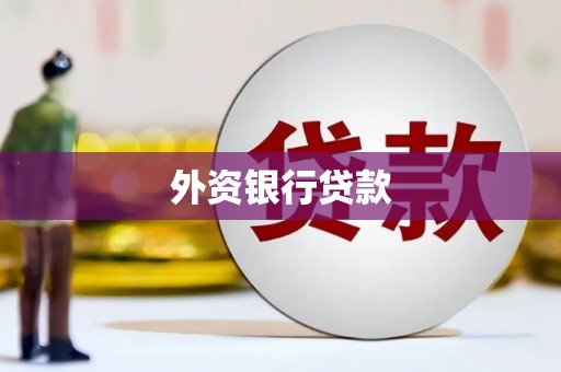东乡外资银行贷款