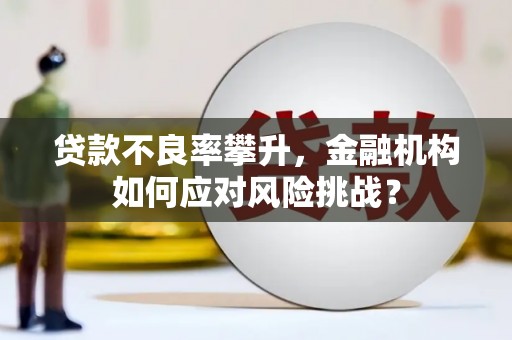 东乡贷款不良率攀升，金融机构如何应对风险挑战？