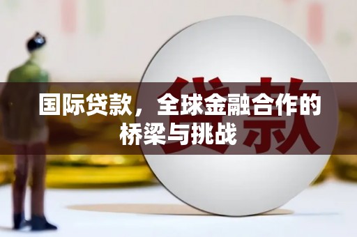 东乡国际贷款，全球金融合作的桥梁与挑战