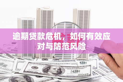 东乡逾期贷款危机，如何有效应对与防范风险