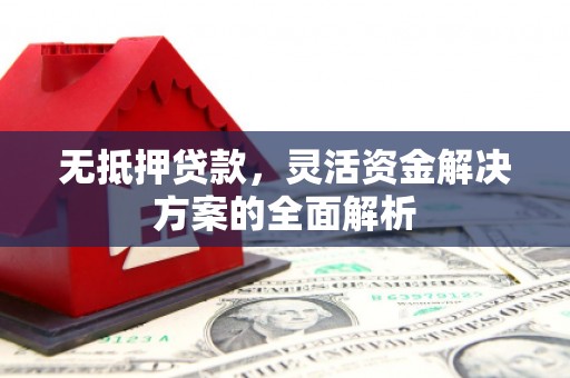 东乡无抵押贷款，灵活资金解决方案的全面解析