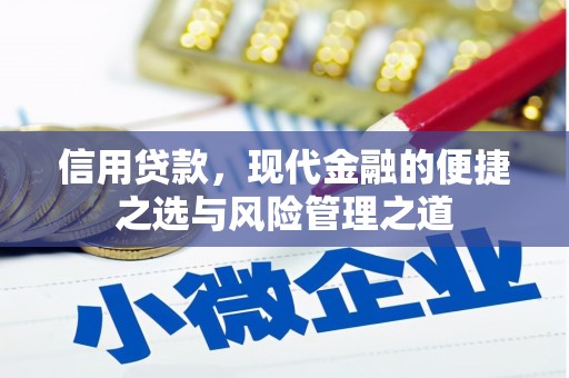 东乡信用贷款，现代金融的便捷之选与风险管理之道
