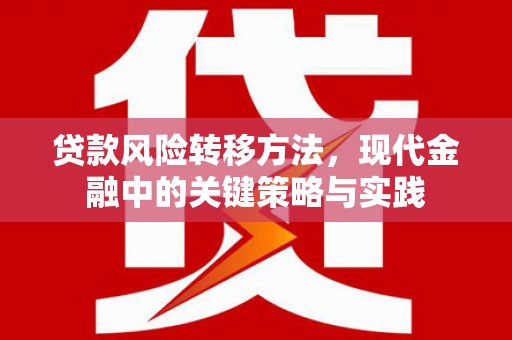 东乡贷款风险转移方法，现代金融中的关键策略与实践
