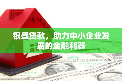 东乡银盛贷款，助力中小企业发展的金融利器