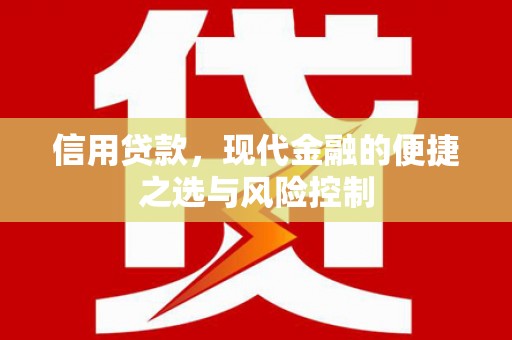 东乡信用贷款，现代金融的便捷之选与风险控制