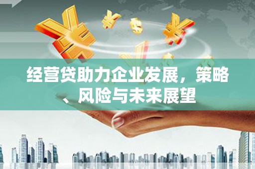 东乡经营贷助力企业发展，策略、风险与未来展望