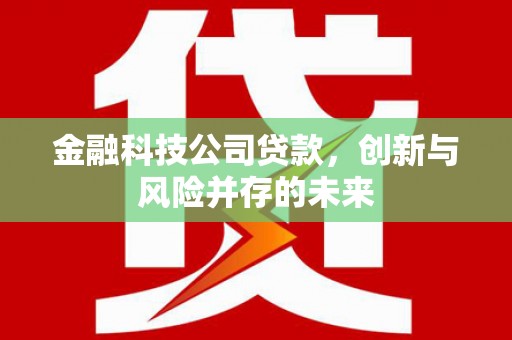 东乡金融科技公司贷款，创新与风险并存的未来