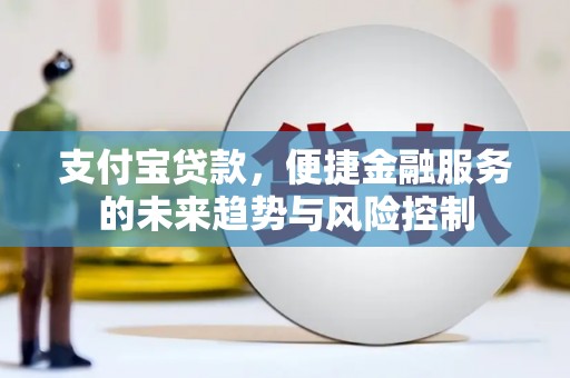 东乡支付宝贷款，便捷金融服务的未来趋势与风险控制