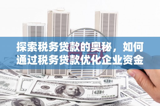 东乡探索税务贷款的奥秘，如何通过税务贷款优化企业资金流