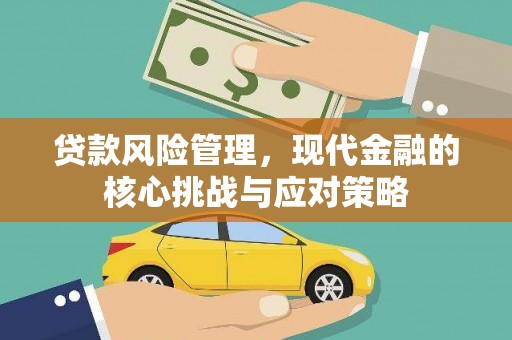 东乡贷款风险管理，现代金融的核心挑战与应对策略