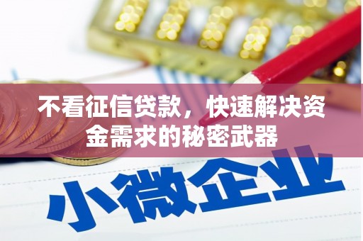 东乡不看征信贷款，快速解决资金需求的秘密武器