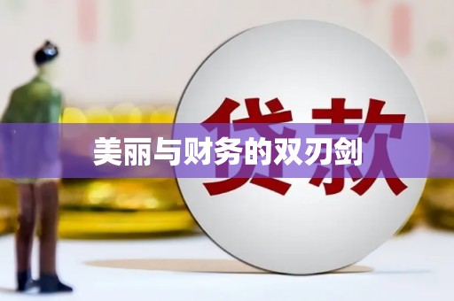 东乡美丽与财务的双刃剑