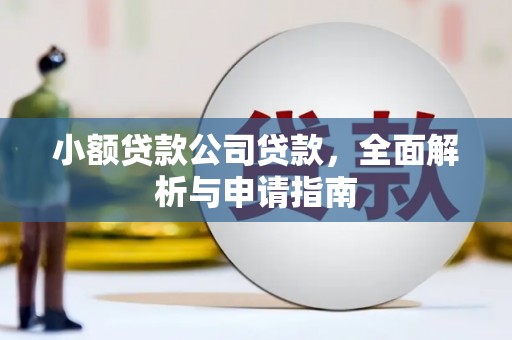 东乡小额贷款公司贷款，全面解析与申请指南