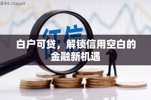 东乡白户可贷，解锁信用空白的金融新机遇