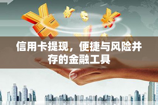 东乡信用卡提现，便捷与风险并存的金融工具