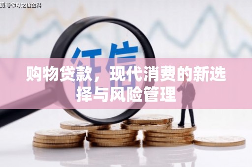 东乡购物贷款，现代消费的新选择与风险管理