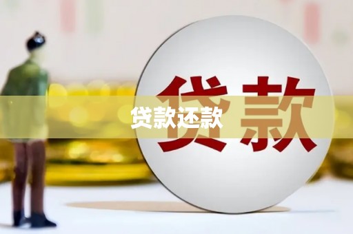 东乡贷款还款