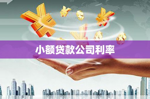 东乡小额贷款公司利率