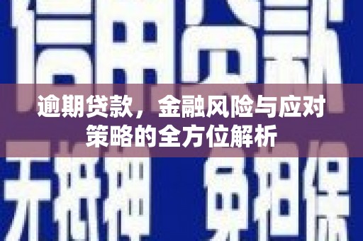 东乡逾期贷款，金融风险与应对策略的全方位解析