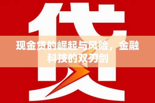 东乡现金贷的崛起与风险，金融科技的双刃剑