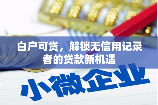 东乡白户可贷，解锁无信用记录者的贷款新机遇