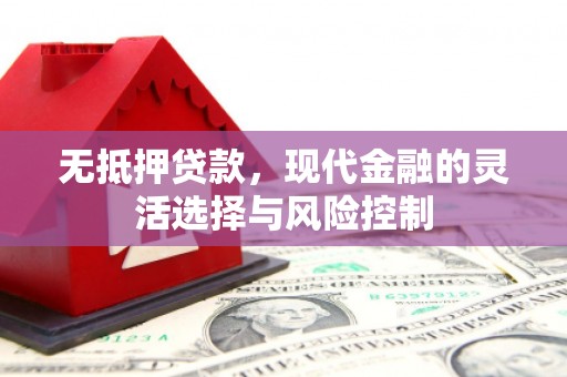 东乡无抵押贷款，现代金融的灵活选择与风险控制