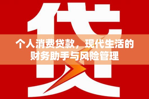 东乡个人消费贷款，现代生活的财务助手与风险管理
