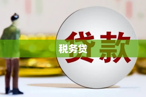 东乡税务贷