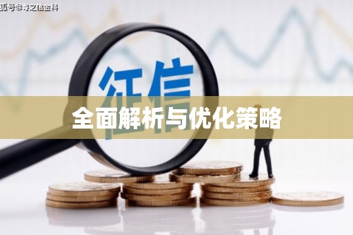 东乡全面解析与优化策略