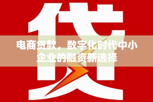 东乡电商贷款，数字化时代中小企业的融资新选择