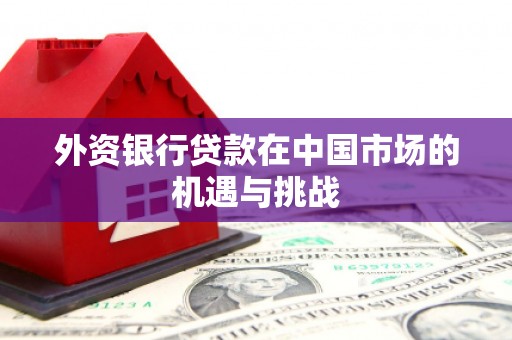 东乡外资银行贷款在中国市场的机遇与挑战