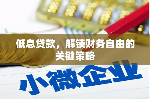 东乡低息贷款，解锁财务自由的关键策略