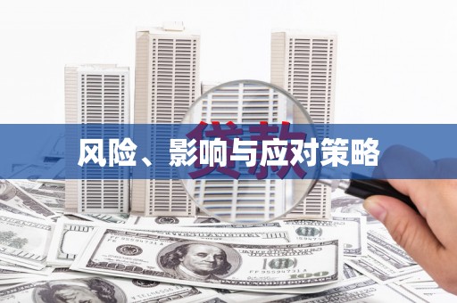 东乡风险、影响与应对策略