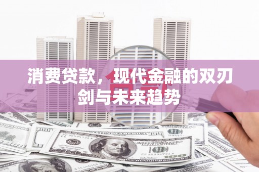 东乡消费贷款，现代金融的双刃剑与未来趋势