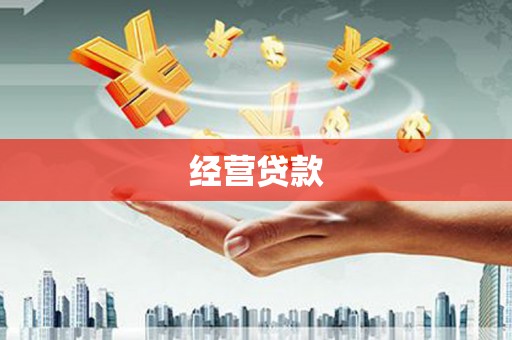 东乡经营贷款