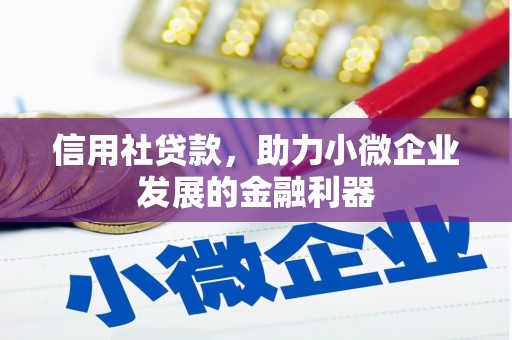 东乡信用社贷款，助力小微企业发展的金融利器