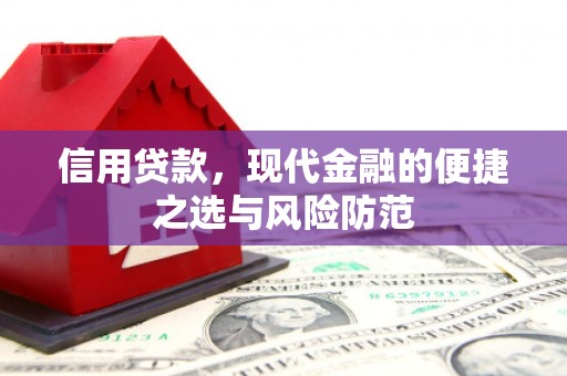 东乡信用贷款，现代金融的便捷之选与风险防范