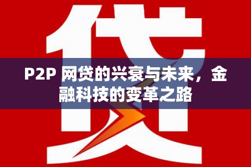 东乡P2P 网贷的兴衰与未来，金融科技的变革之路