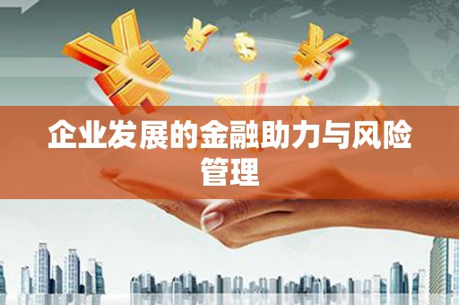 东乡企业发展的金融助力与风险管理