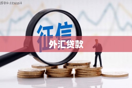 东乡外汇贷款