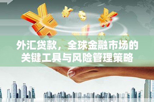 东乡外汇贷款，全球金融市场的关键工具与风险管理策略