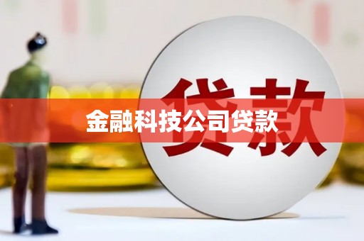 东乡金融科技公司贷款