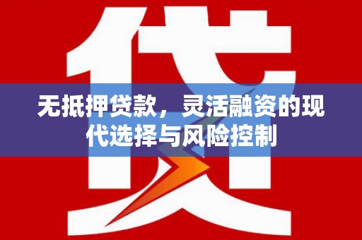 东乡无抵押贷款，灵活融资的现代选择与风险控制