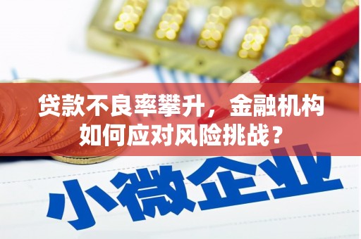 东乡贷款不良率攀升，金融机构如何应对风险挑战？