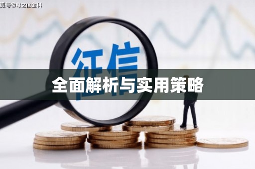 东乡全面解析与实用策略