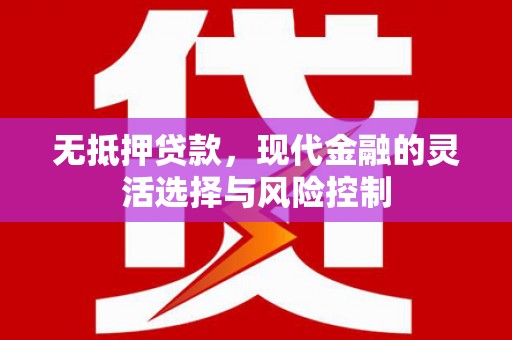 东乡无抵押贷款，现代金融的灵活选择与风险控制