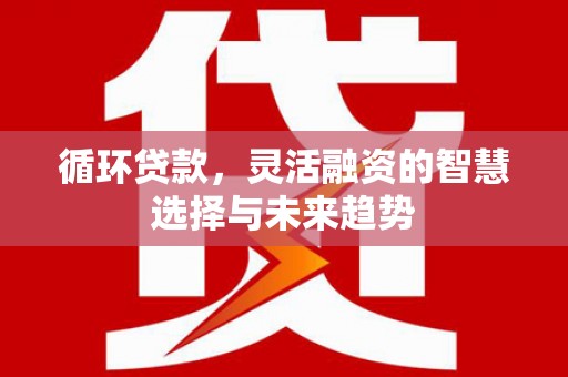 东乡循环贷款，灵活融资的智慧选择与未来趋势