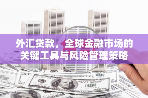 东乡外汇贷款，全球金融市场的关键工具与风险管理策略