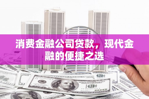 东乡消费金融公司贷款，现代金融的便捷之选
