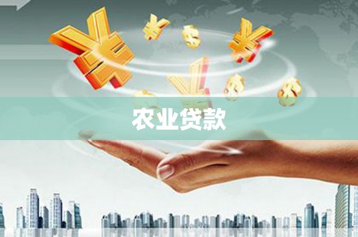 东乡农业贷款